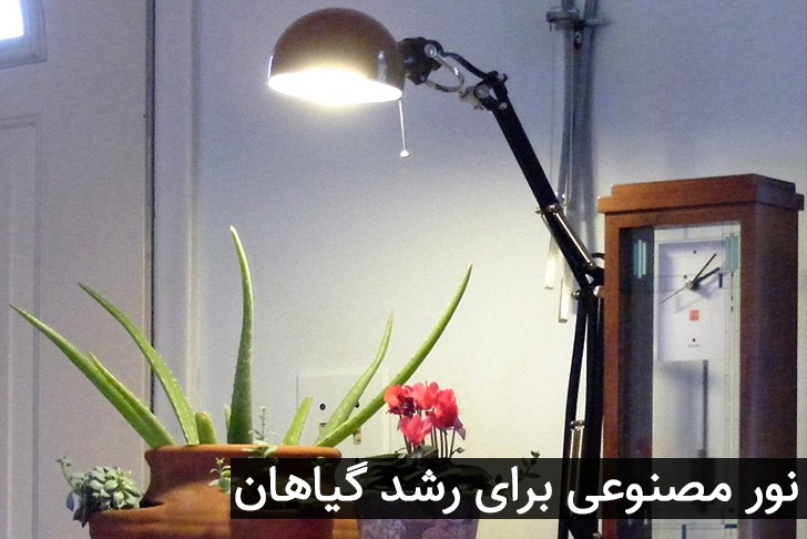 نور مصنوعی برای رشد گیاهان